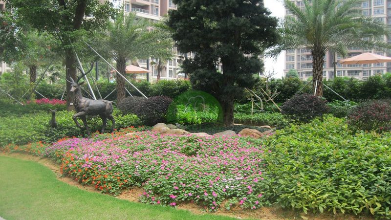市政苗木种植报价明细：解析影响价格的关键因素**