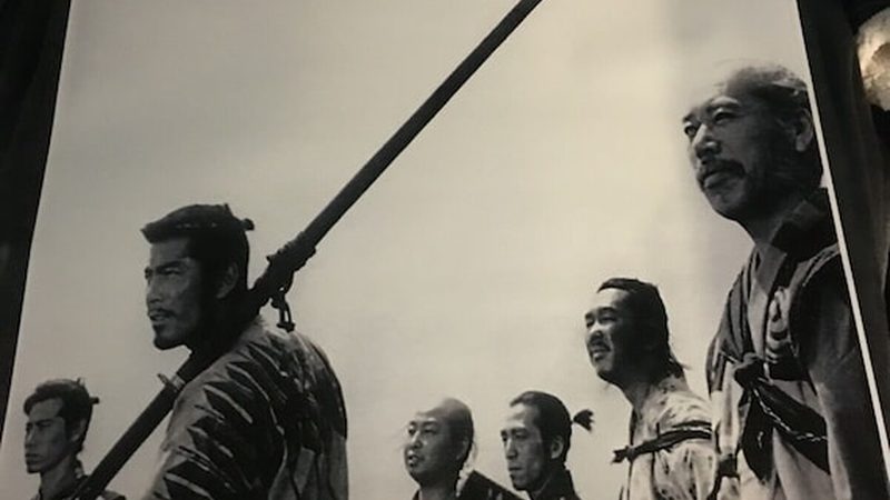 绿化资质乙级与甲级：适用场景解析**