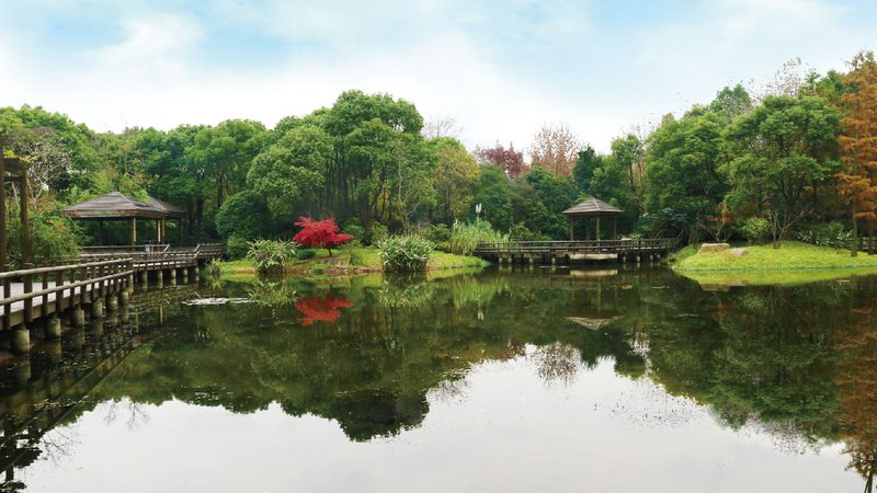 目前，市场上常见的屋顶绿化防水卷材主要有以下几种类型：
