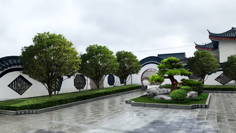 别墅花园植物养护难度对比：常绿阔叶树与地被植物