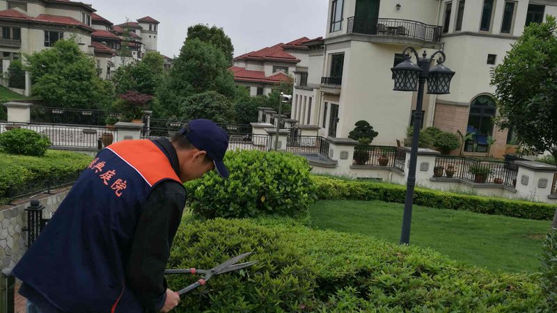 北京大型绿植租赁规格