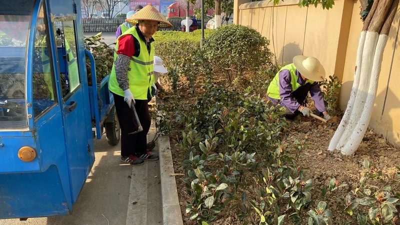 成都别墅花园设计效果图：打造私家园林的艺术与科学**