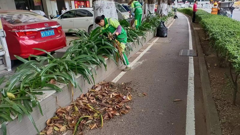 园林景观设计规范教程：从标准到实践