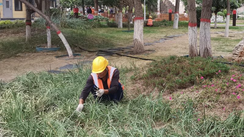 老旧小区绿化改造施工流程