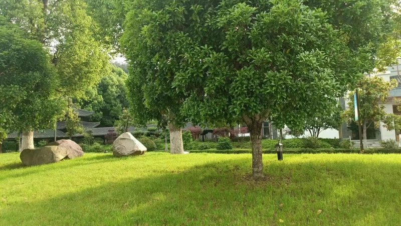 广东假山喷泉报价单：揭秘价格构成与选购要点**