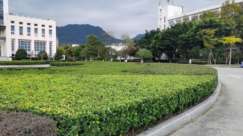 垂直绿化标准规范全解析，下载指南一网打尽