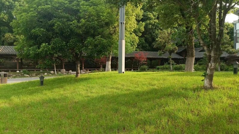 草坪养护加盟代理费用解析：费用构成与影响因素