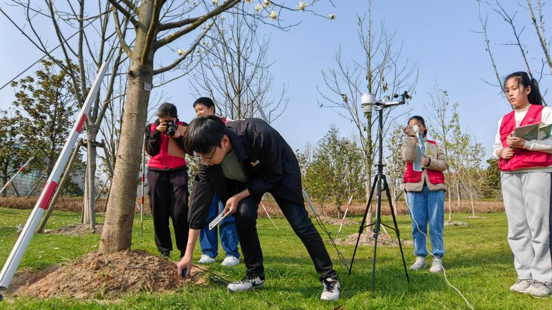 屋顶花园园林工程报价：揭秘影响价格的关键因素